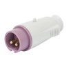 Gewis IEC309 BTS Straight Plug 2 Pole 16A 20-25V
