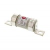 Lawson TCP Industrial Fuse, 125A